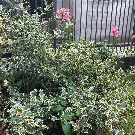 Casa La Mari Omegna